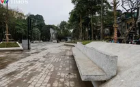 Cần "mạnh dạn" trả lại màu xanh cho các vườn hoa, công viên bị bê tông hóa