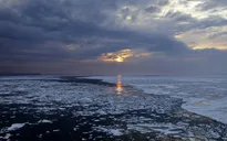 Bắc Băng Dương trước nguy cơ không còn băng trôi