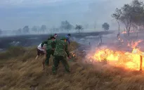 Nguy cơ cháy rừng ở nhiều khu vực trên cả nước