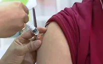 Hà Nội tăng cường các biện pháp phòng, chống bệnh dại