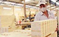Doanh nghiệp gỗ "đi chợ" kiếm đơn hàng