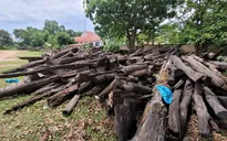 Đắk Lắk kỷ luật nhiều cán bộ vì sai phạm trục vớt gỗ lòng hồ