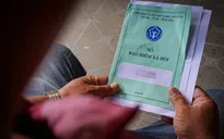 Hơn 400 hồ sơ kiến nghị khởi tố trốn đóng bảo hiểm