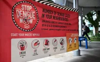Singapore đối mặt nguy cơ bùng phát dịch sốt xuất huyết