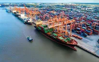 Cước vận tải biển tăng phi mã, doanh nghiệp xuất khẩu gặp khó