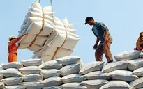 Việt Nam thu gần 1,4 tỷ USD từ xuất khẩu gạo