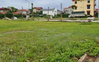 Đồng Nai dự kiến thu trên 5.000 tỷ đồng từ đấu giá đất