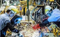 ADB dự báo kinh tế Việt Nam tăng trưởng 6%