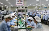Nâng cao hiệu quả kết nối việc làm nhờ chuyển đổi số