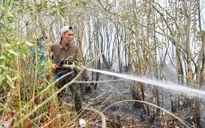 Kiên Giang: Kịp thời dập tắt liên tiếp 2 vụ cháy rừng