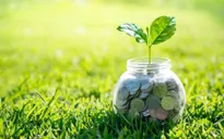 Thành phố Hồ Chí Minh ưu tiên phát triển sản xuất xanh