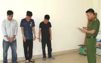 Bắt giữ 3 đối tượng trộm hơn 2 tấn chó