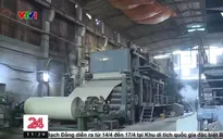 Góc khuất phía sau ngành tái chế giấy: Xuất khẩu giấy sạch, ô nhiễm ở lại