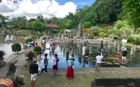 Indonesia khuyến cáo du khách đến đảo Bali cảnh giác với dịch sốt xuất huyết
