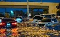 Mưa bão lịch sử làm tê liệt thành phố Dubai