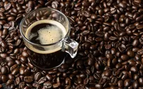Giá cà phê đã lên 125.000 đồng/kg