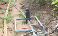 Giải pháp tưới tiết kiệm nước - Chìa khóa cho nông nghiệp bền vững