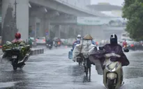 Thủ đô Hà Nội chiều tối và đêm có mưa rào, dông vài nơi