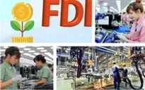 Sớm hoàn thiện hạ tầng, chính sách hỗ trợ FDI xanh