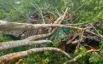 Tiếp tục xuất hiện dông lốc tại Bắc Kạn khiến hàng chục nhà bị tốc mái