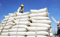 Giá gạo Ấn Độ chạm đáy của gần 3 tháng