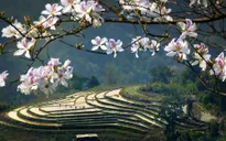 Điện Biên đón 5.000 lượt khách/ngày