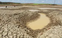 ĐBSCL ổn định sản xuất trước tác động của xâm nhập mặn