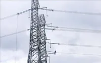 Phải hoàn thành bàn giao mặt bằng dự án 500 kV mạch 3 trong tháng 4