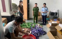Thu giữ 600 hộp mỹ phẩm các loại không rõ nguồn gốc xuất xứ