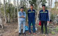 Phú Quốc: Bắt 3 đối tượng phá hơn 2.000m2 đất rừng đặc dụng