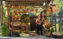 Lật mặt 7: Bộ phim dành cho gia đình Việt