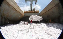 Việt Nam là thị trường xuất khẩu lớn thứ 9 của Singapore