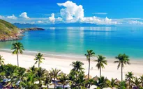 Xanh hóa bãi biển du lịch tại Nha Trang