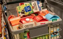 Các xét nghiệm tại Mỹ cho thấy sữa tiệt trùng an toàn đối với cúm gia cầm