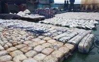 Ấn Độ thu giữ lượng lớn ma túy trị giá 71 triệu USD