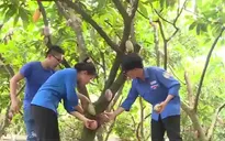 Xây dựng nông thôn mới tại "đất lửa''