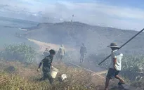 Bình Thuận: Cháy rừng trên đảo Phú Quý