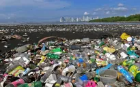 Thế giới tiến gần tới Hiệp ước chống ô nhiễm nhựa