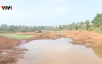 Hàng nghìn ha cây trồng ở Đắk Nông đang đối mặt nguy cơ thiếu nước