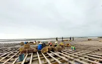 Quảng Ninh: Phát triển thủy sản trở thành ngành kinh tế mũi nhọn