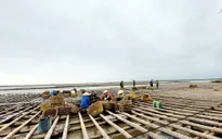 Phát triển nuôi biển bền vững