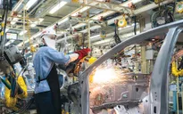 Phát triển bền vững vì con người