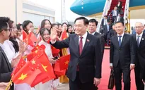 Chủ tịch Quốc hội đến Bắc Kinh, bắt đầu thăm chính thức Trung Quốc