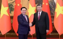 Nâng tầm kết nối chiến lược, tạo động lực tăng trưởng mới cho hợp tác Việt Nam - Trung Quốc