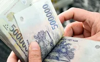 Bảng lương theo vị trí việc làm có gì đặc biệt?