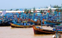 Bình Thuận quyết liệt kiểm soát tàu “3 không”
