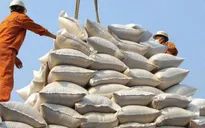 Indonesia mở thầu mua 300.000 tấn gạo