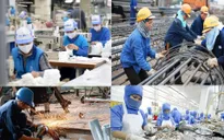 Thiết thực vì lợi ích của người lao động