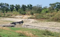 Đồng Nai ứng phó nguy cơ thiếu nước, xâm nhập mặn