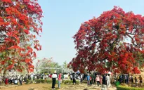 Điện Biên đón hơn 1 triệu khách du lịch từ đầu năm đến nay